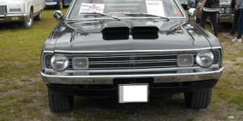 Dodge Demon Scoop L=73cm B=62cm H=7cm